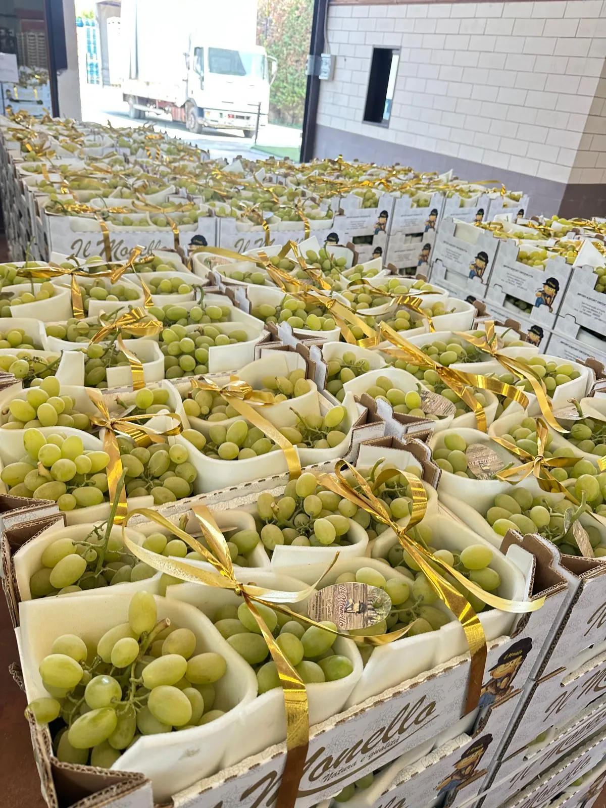 Uva da tavola Puglia